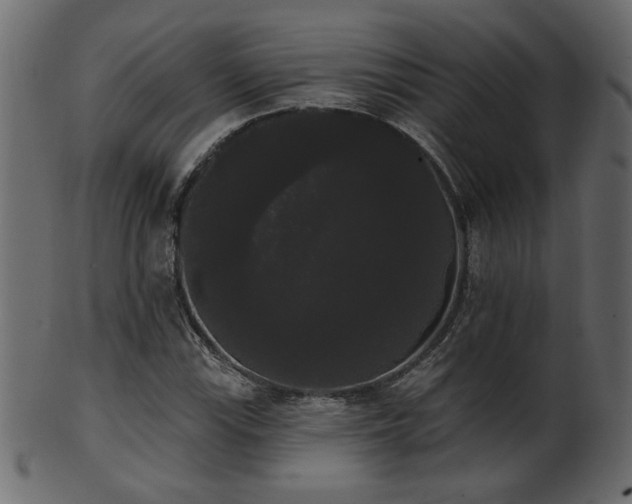 X0000101981115200807181118