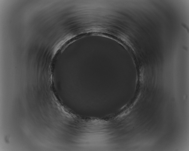 X0000101981117200807181118