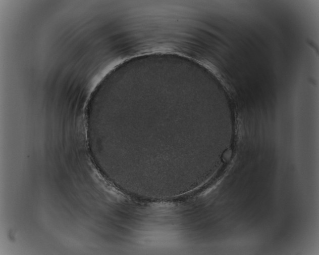 X0000101981118200807181118