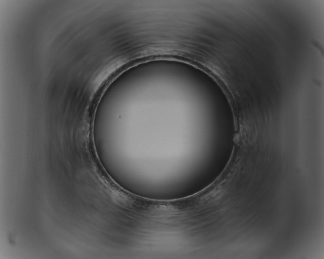 X0000101981119200807181118