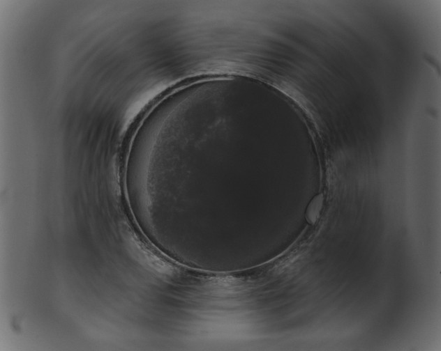 X0000101981120200807181118