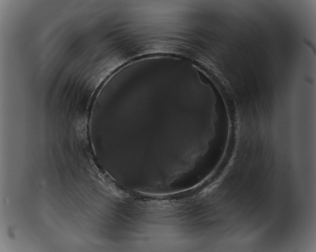 X0000101981121200807181118