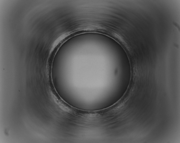 X0000101981122200807181118