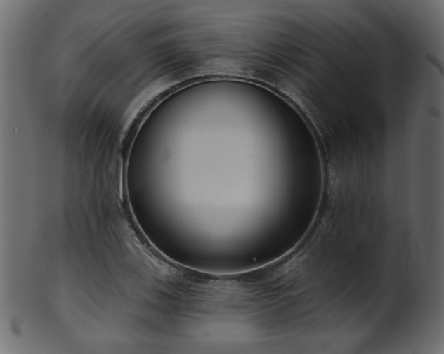 X0000101981123200807181118