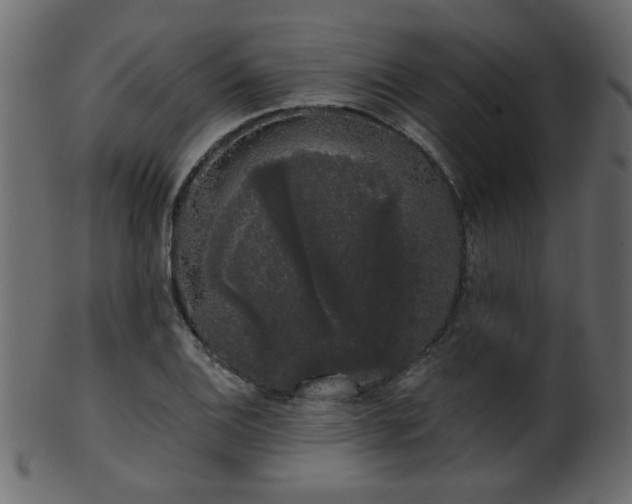 X0000101981124200807181118