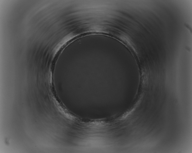 X0000101981125200807181118