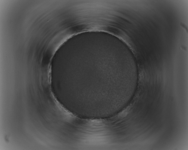 X0000101981126200807181118