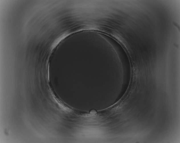 X0000101981127200807181118