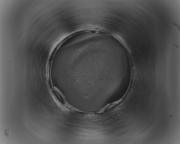 X0000101981128200807181118