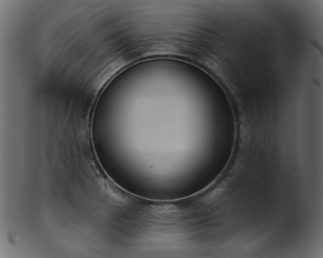 X0000101981129200807181118