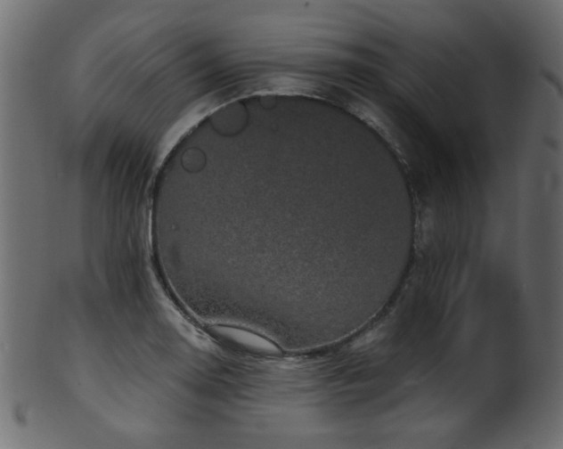 X0000101981130200807181118