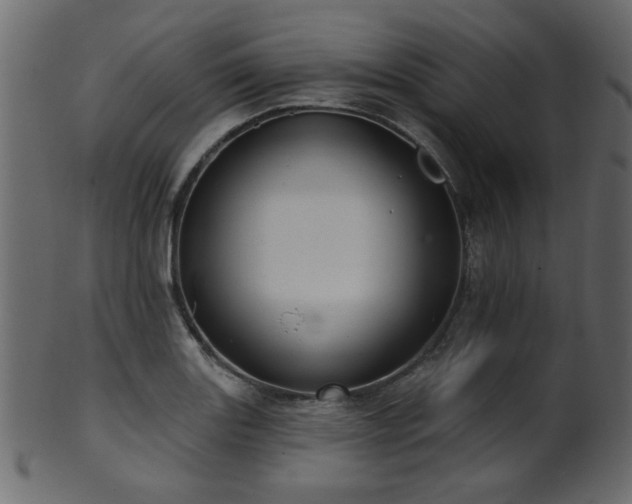 X0000101981131200807181118