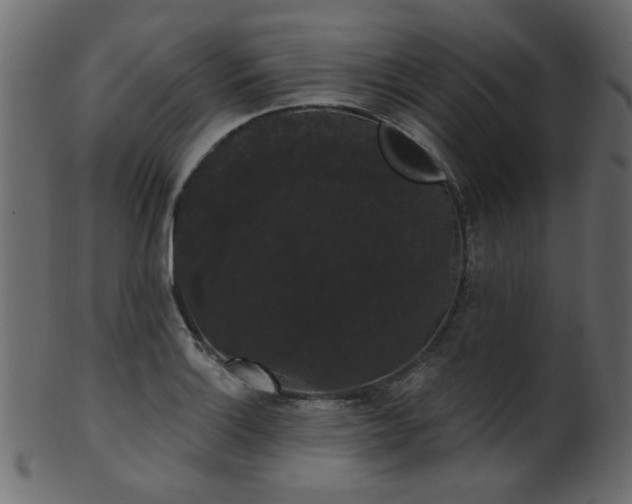 X0000101981132200807181118