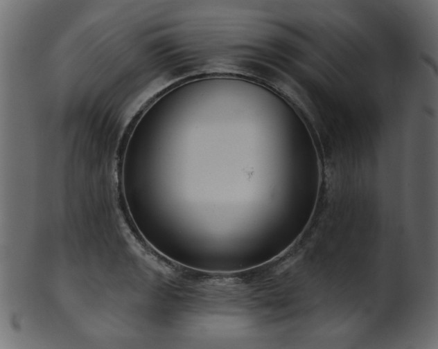 X0000101981133200807181118