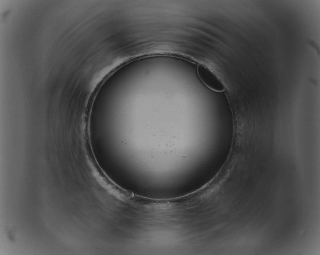 X0000101981134200807181119