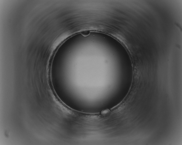 X0000101981135200807181119