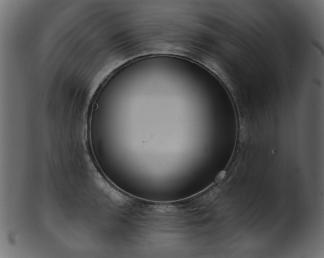 X0000101981136200807181119