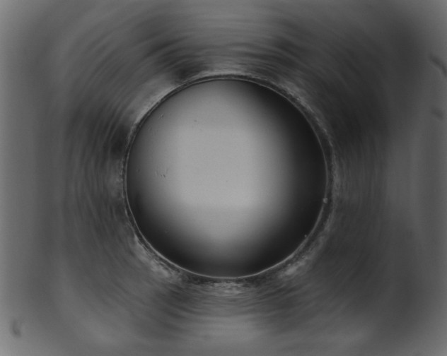 X0000101981137200807181119