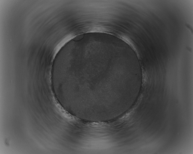 X0000101981138200807181119