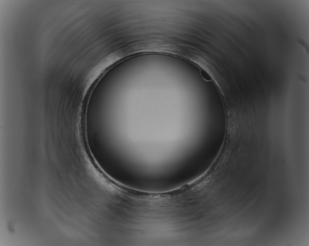 X0000101981139200807181119