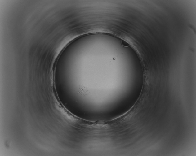 X0000101981140200807181119