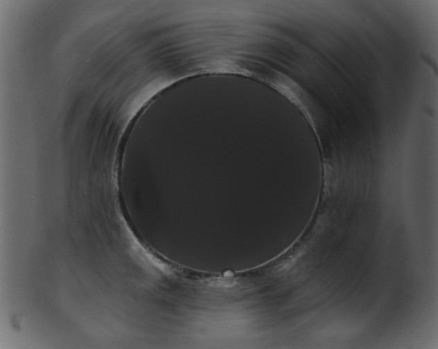 X0000101981141200807181119