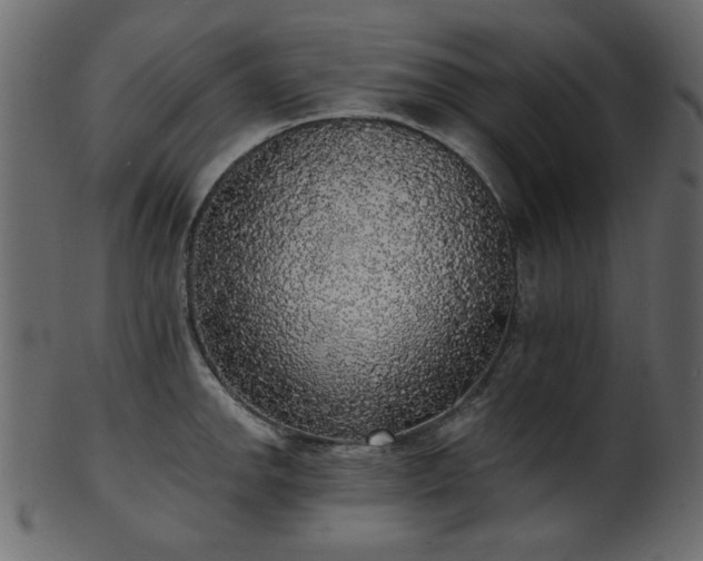 X0000101981142200807181119