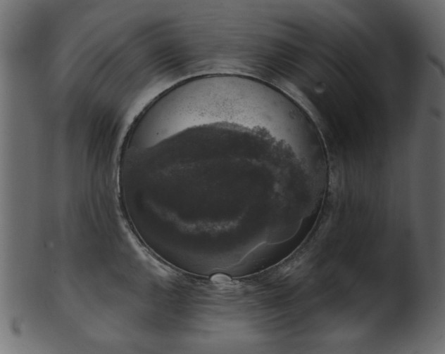 X0000101981144200807181119