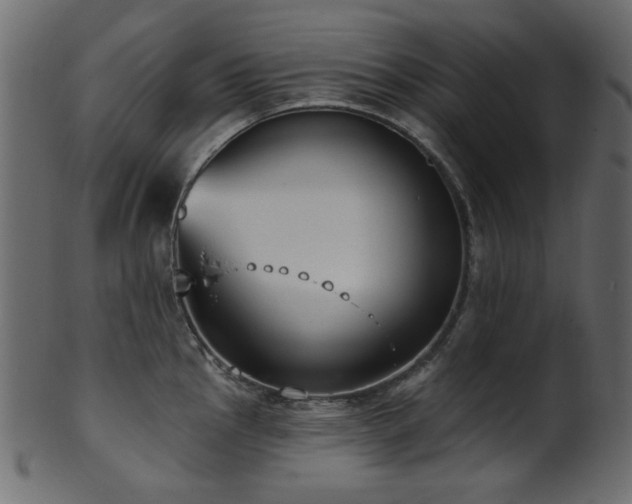 X0000101981145200807181119