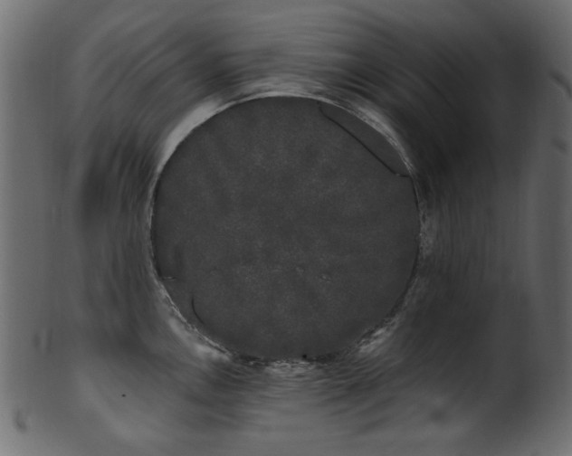 X0000101981146200807181119