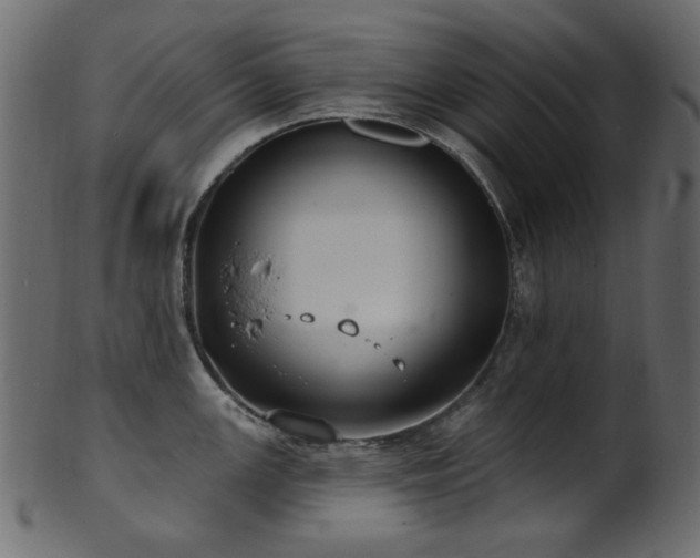 X0000101981147200807181119