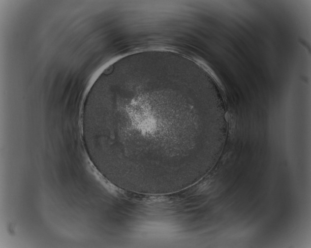 X0000101981148200807181119