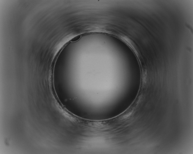 X0000101981149200807181119