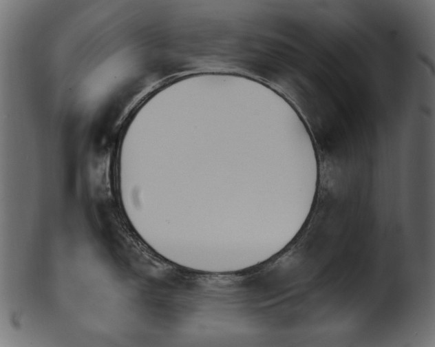 X0000101981150200807181119