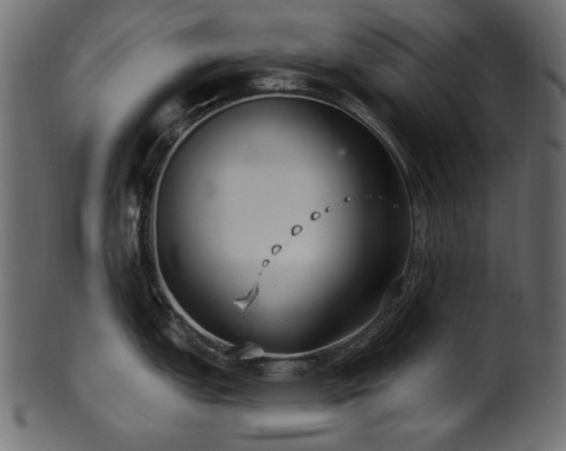 X0000101981151200807181119