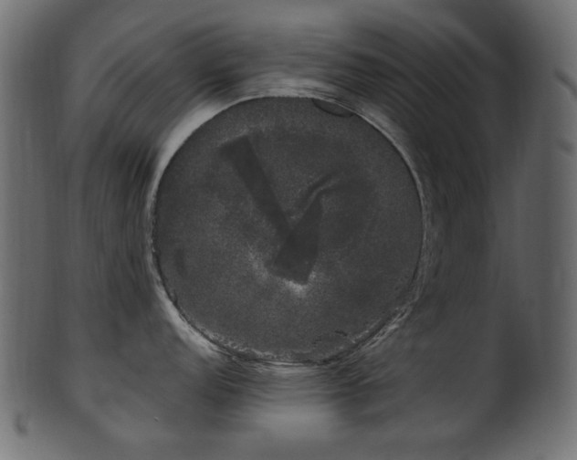 X0000101981152200807181119