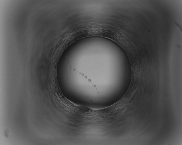 X0000101981153200807181118