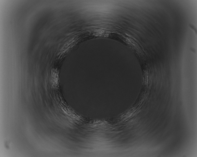 X0000101981154200807181118