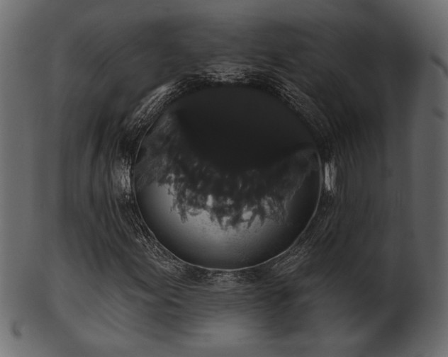 X0000101981155200807181118