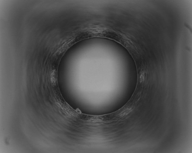 X0000101981156200807181118