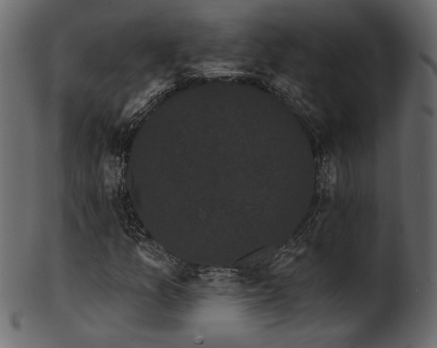 X0000101981157200807181118