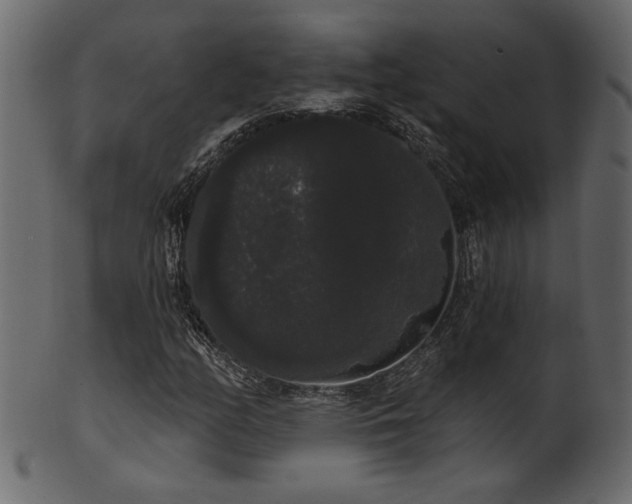 X0000101981158200807181118