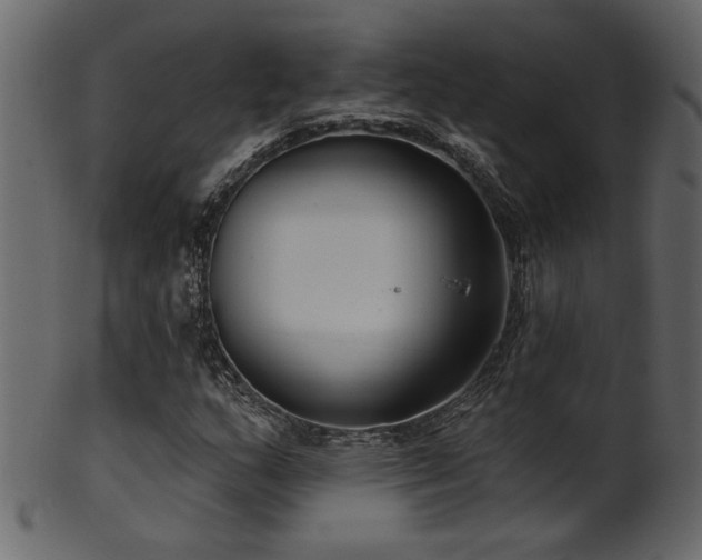 X0000101981159200807181118