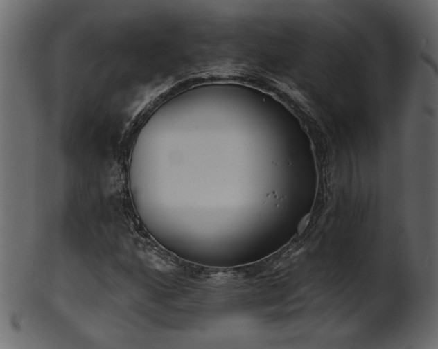 X0000101981160200807181118