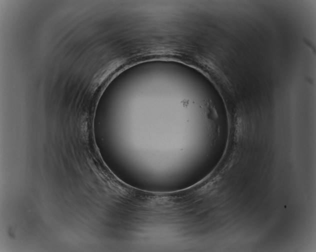 X0000101981162200807181118