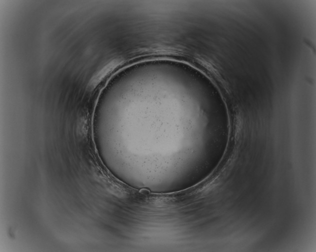 X0000101981163200807181118