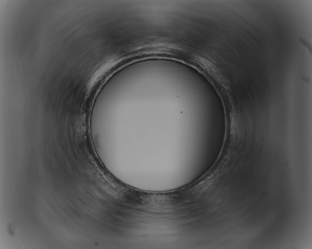 X0000101981164200807181118