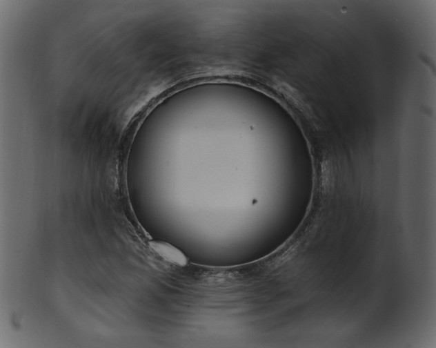 X0000101981165200807181118