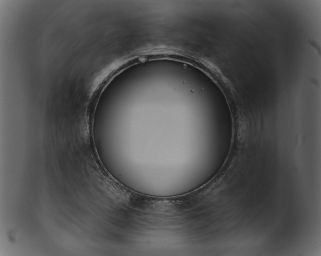 X0000101981167200807181118