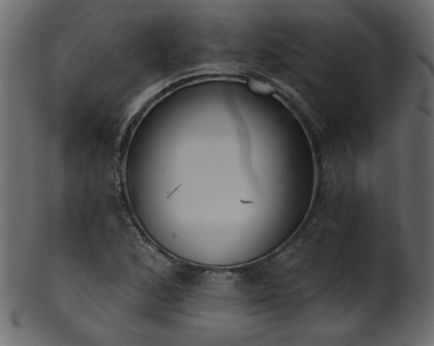 X0000101981168200807181118